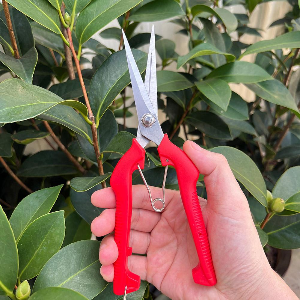 Bonsai Garden Tools - Gunting Pangkas Taman Pro Garden, Gunting