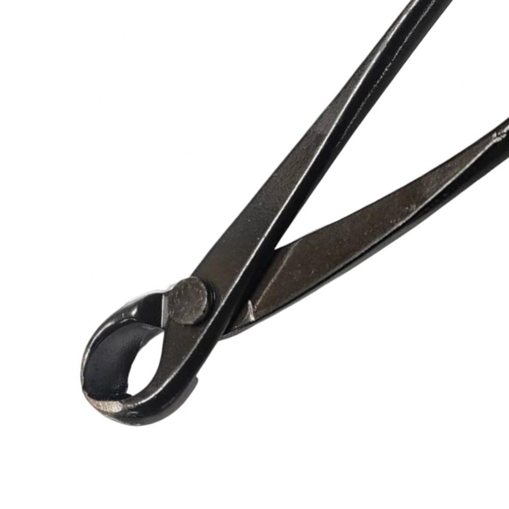 Tang potong pohon Bonsai, pemo - Bonsai Garden Tools ulasan dan harga