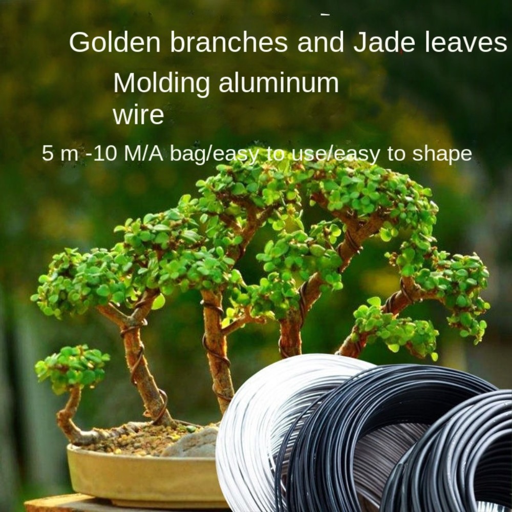 Kawat Bonsai Aluminium untuk T - Bonsai Garden Tools ulasan dan harga