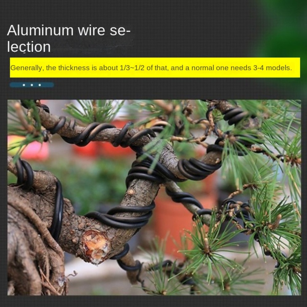 Kawat Bonsai Aluminium untuk T - Bonsai Garden Tools ulasan dan harga