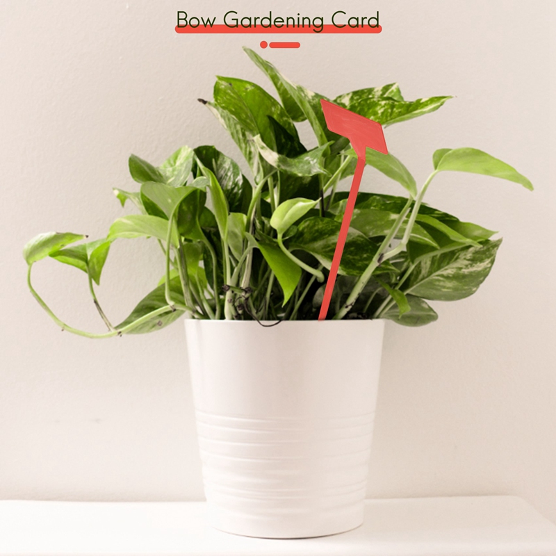 ABYP Alat Penanaman Kebun 50 B - Bonsai Garden Tools ulasan dan harga
