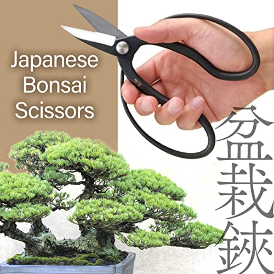 Gunting Bonsai Suiryu Jepang - - Japan Bonsai Garden ulasan dan harga