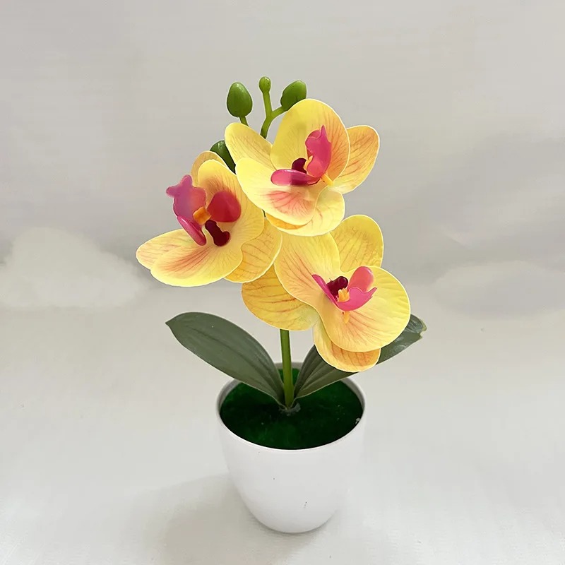 1 Buah Tanaman Simulasi 20CM d - Bonsai Garden Ideas ulasan dan harga