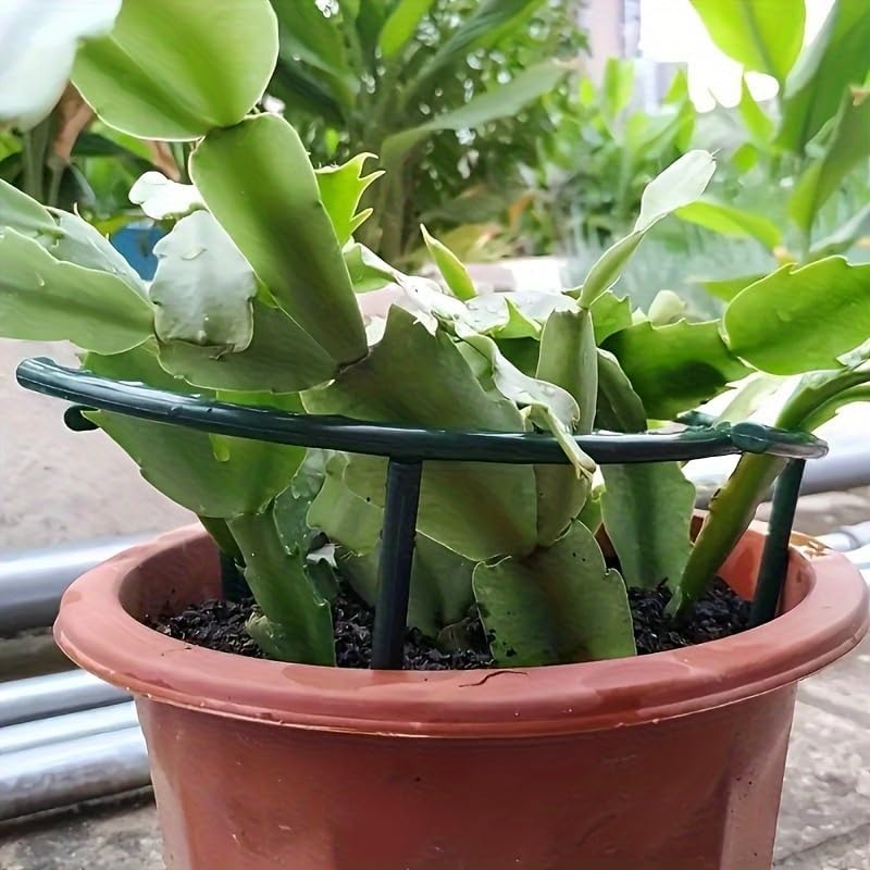 30-1 Buah Penyangga Tanaman Pl - Bonsai Garden Tools ulasan dan harga