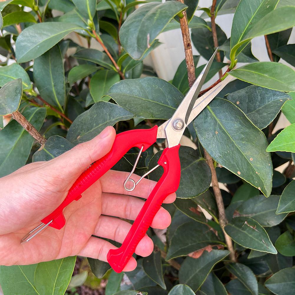 Gunting Pangkas Taman Pro Gard - Bonsai Garden Tools ulasan dan harga