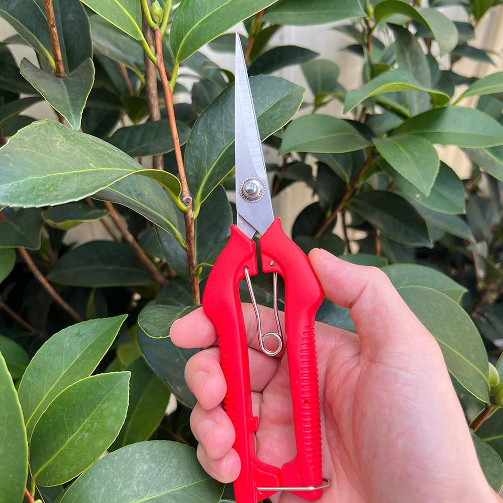 Gunting Pangkas Taman Pro Gard - Bonsai Garden Tools ulasan dan harga