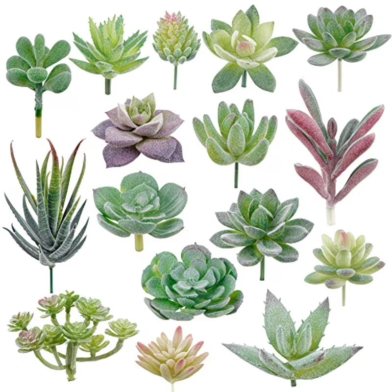 10/20 Buah Tanaman Sukulen PVC - Bonsai Garden Ideas ulasan dan harga