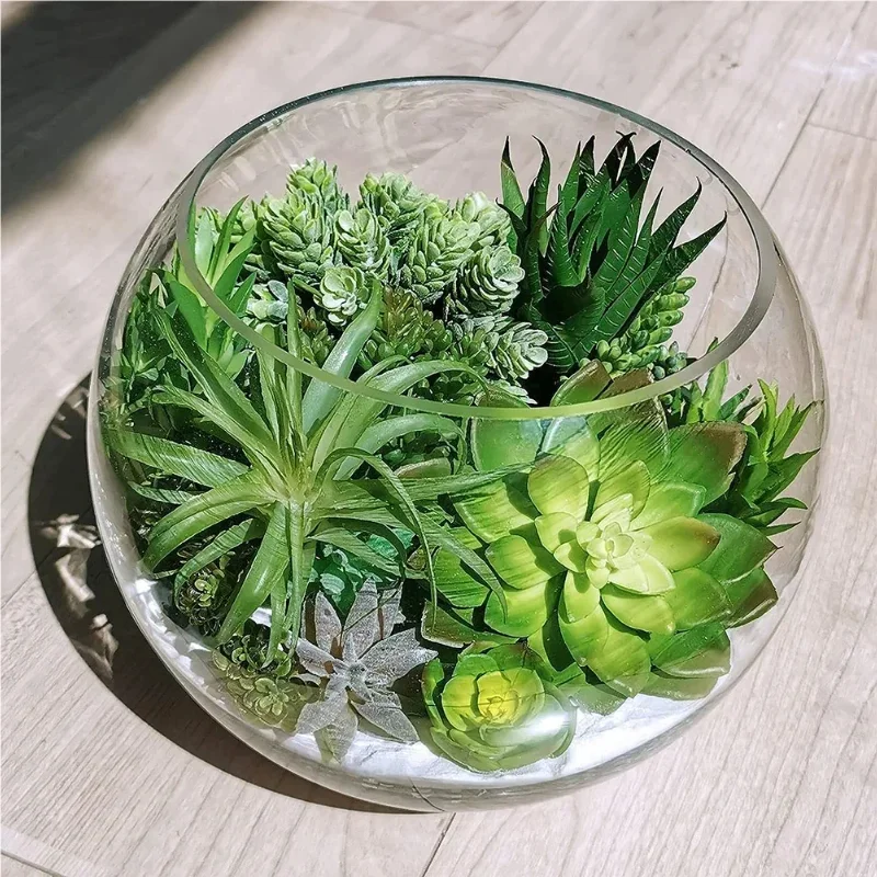 10/20 Buah Tanaman Sukulen PVC - Bonsai Garden Ideas ulasan dan harga